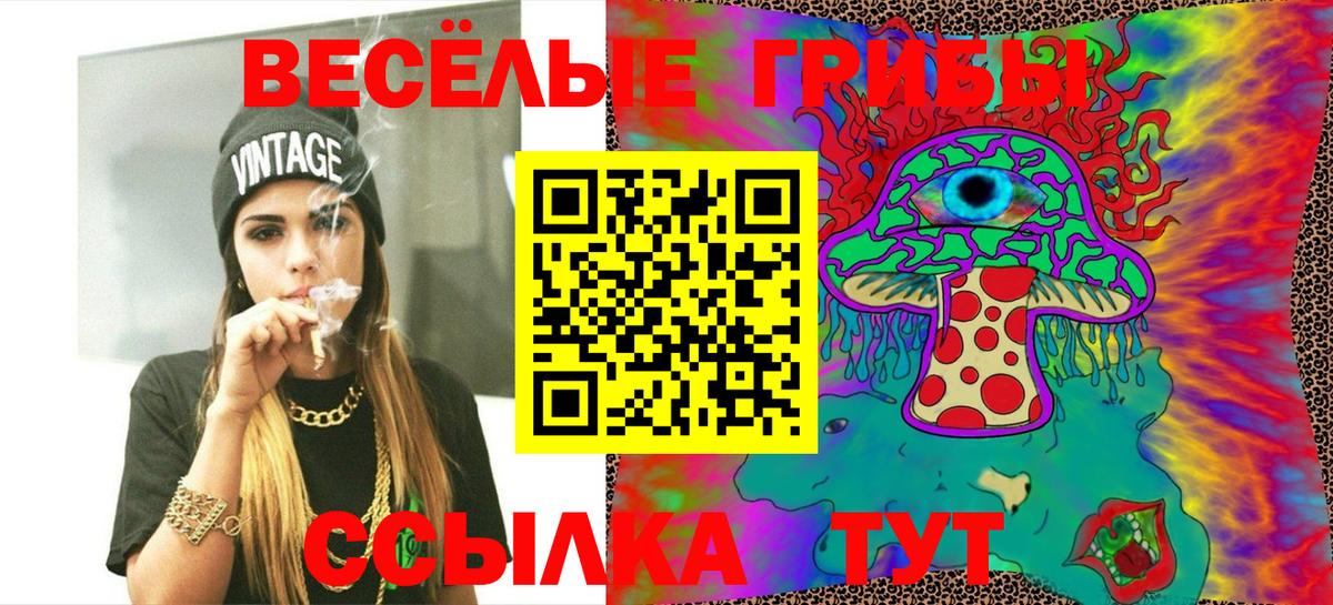 Галлюциногенные грибы Psilocybe Рязань